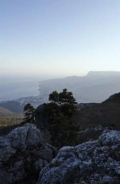 CRIMEA: Sunset scenic landscape view with pines Stock Photos