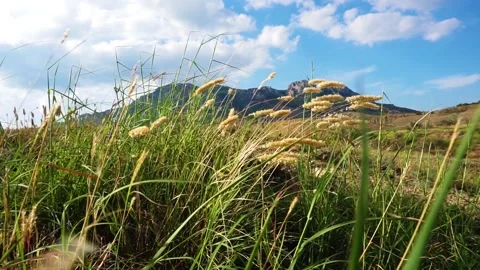 Crimean mountains Видео 160200311
