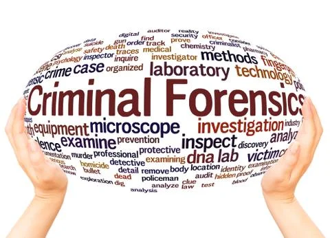 Criminal Forensics word cloud hand sphere concept Illustrazione stock