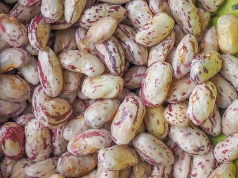 Crimson beans vegetables background Stock Photos