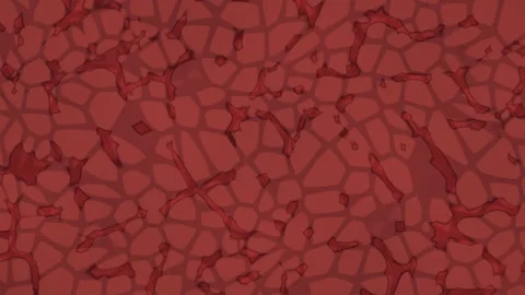 Crimson cellular patterns flow in organic motion Video stock 330059965