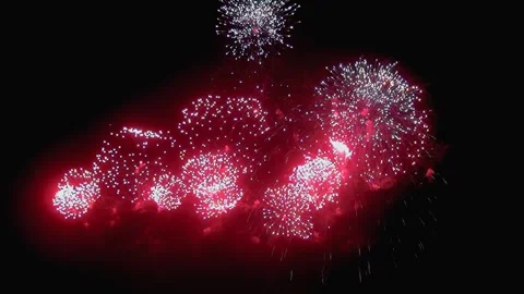 Crimson Chrysanthemums Bloom in the Evening Sky Stock Footage 315744363