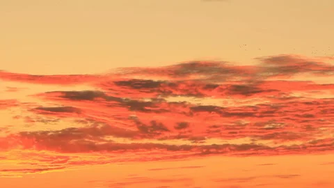Crimson colors on clouds in twilight Stock Footage 133256559