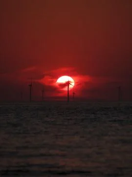 Crimson Currents Stock Photos