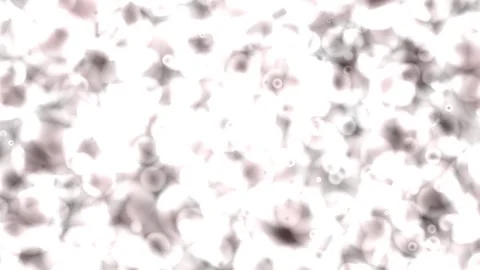 Crimson glowing particles drifting in dark cinematic atmosphere 库存影片 337227523