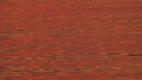 Crimson Ocean Ripple Pattern in Evening Twilight 库存影片 334699987
