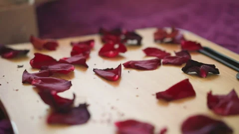 Crimson petals macro scene. Closeup of floral and textured background. Intimate Stock Footage 346559001