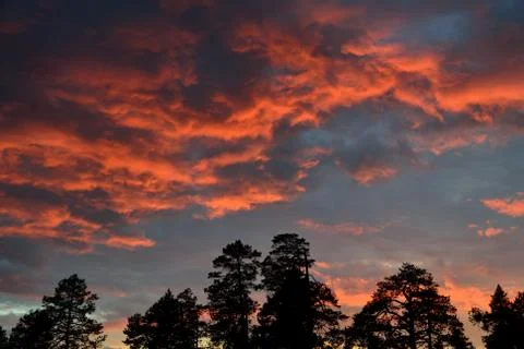Crimson sunset Stock Photos