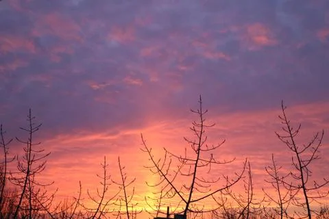 Crimson sunset Foto stock