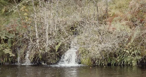 Crinan Canal Stock Footage 119078941