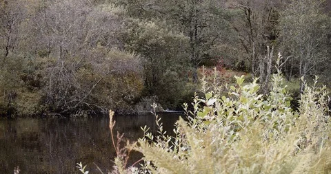 Crinan Canal Stock Footage 119078966