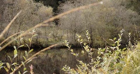 Crinan Canal Stock Footage 119079830
