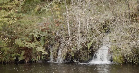 Crinan Canal Stock Footage 119080352