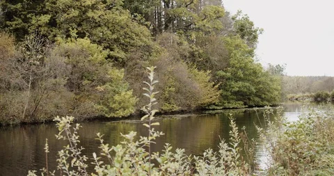 Crinan Canal Stock Footage 119080828