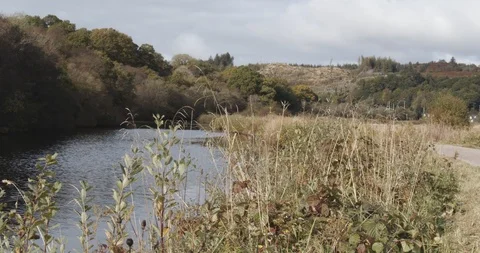 Crinan Canal Stock Footage 119081465