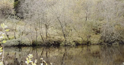 Crinan Canal Stock Footage 119082234
