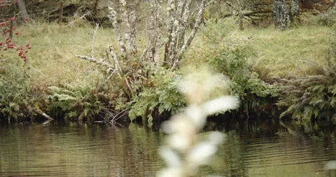 Crinan Canal Stock Footage 119082995