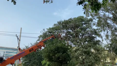 Crine stuck with electric wire Video stock 167693636