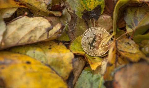Criptocurrency power consumption sustainnability Foto stock