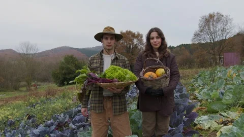 As the crisp air of fall whispers through the fields a portrait of agrarian Stock Footage 258566397