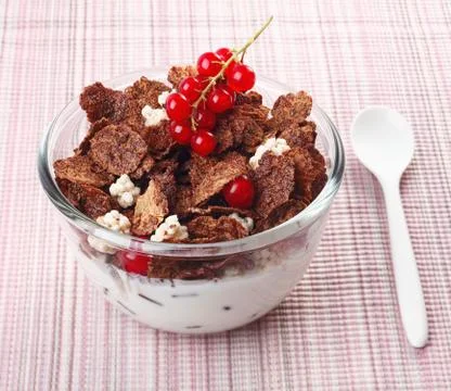 Crisp breakfast cereal and red currants Stock Photos