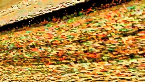 Crisp brown noise 库存影片 69214505