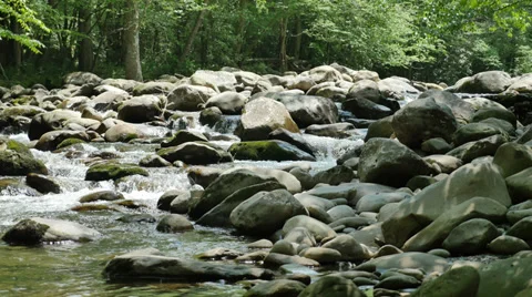Crisp Clean Fresh Stream Water Mountain Creek Cinematic UHD Video stock 38732015