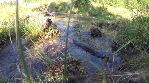 Crisp clean stream water Stock-Footage 41423048
