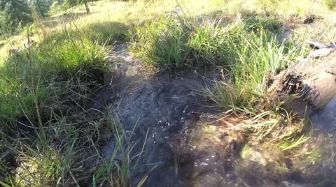 Crisp clean stream water 스톡 동영상 41423172