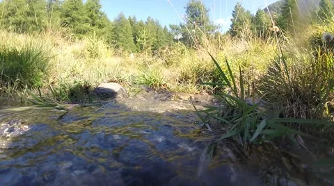 Crisp clean stream water - Mountain Creek Video stock 41398697