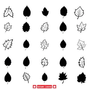 Crisp Fall Air Artistic Vector Silhouettes of Autumn Leaves Stock Illustration