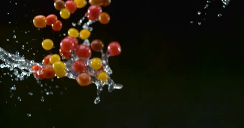 Crisp plump cherry tomatoes fall with water droplets on black background closeup Stock Footage 199459608