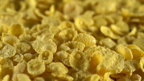 Crisp tasty cornflakes falling down. Stock Footage 74807255