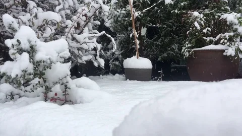 Crisp White Snowflakes falling rapidly onto a building snowdrift in a Stock-Footage 84676778