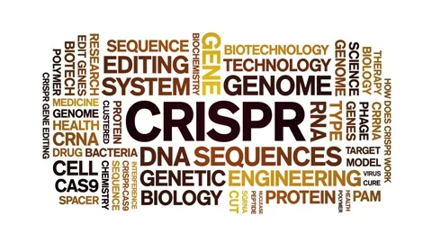 CRISPR animated word cloud,animation text kinetic tag typography seamless loop. Stock Footage 265675590