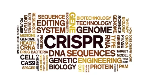 CRISPR animated word cloud,animation text kinetic tag typography seamless loop. Stock Footage 265675599
