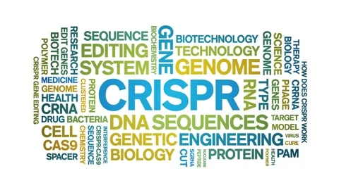 CRISPR animated word cloud,animation text kinetic tag typography seamless loop. Stock Footage 265675617