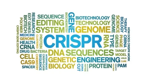 CRISPR animated word cloud,animation text kinetic tag typography seamless loop. Stock Footage 265675653