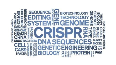 CRISPR animated word cloud,animation text kinetic tag typography seamless loop. Stock Footage 265675676