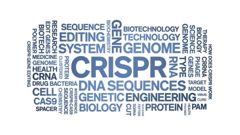 CRISPR animated word cloud,animation text kinetic tag typography seamless loop. Stock Footage 265675699