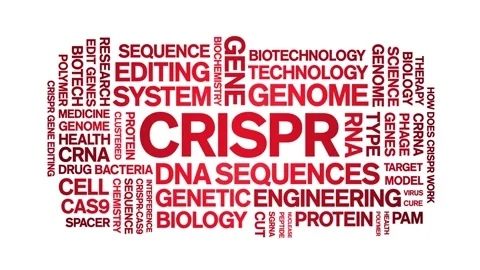 CRISPR animated word cloud,animation text kinetic tag typography seamless loop. Stock Footage 265675737