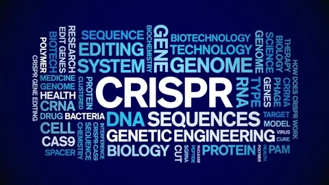 CRISPR animated word cloud,animation text kinetic tag typography seamless loop. Stock Footage 265675929