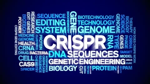 CRISPR animated word cloud,animation text kinetic tag typography seamless loop. Stock Footage 265676204