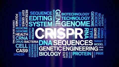 CRISPR animated word cloud,animation text kinetic tag typography seamless loop. Stock Footage 265676438