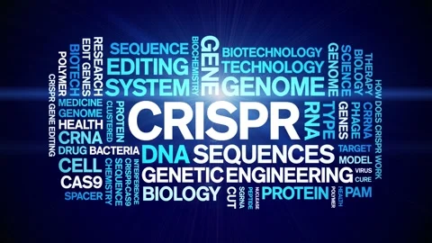 CRISPR animated word cloud,animation text kinetic tag typography seamless loop. Stock Footage 265676658