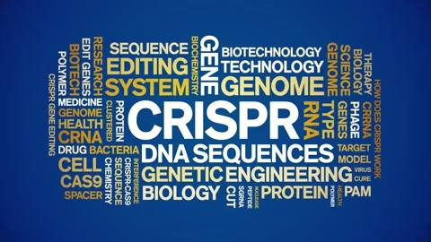CRISPR animated word cloud,animation text kinetic tag typography seamless loop. Stock Footage 265677232