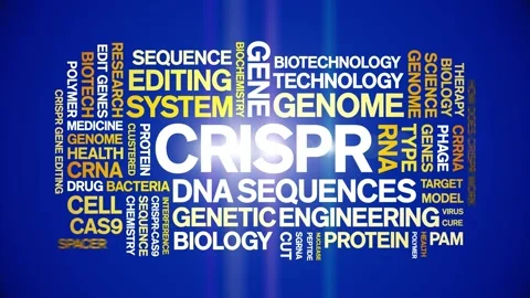 CRISPR animated word cloud,animation text kinetic tag typography seamless loop. Stock Footage 265677496