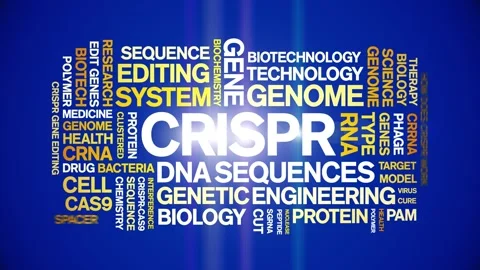 CRISPR animated word cloud,animation text kinetic tag typography seamless loop. Stock Footage 265677768