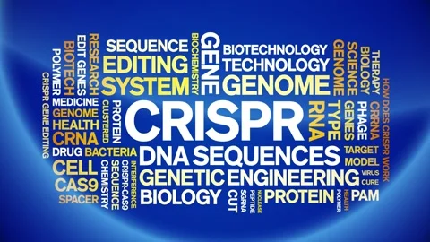 CRISPR animated word cloud,animation text kinetic tag typography seamless loop. Stock Footage 265678007