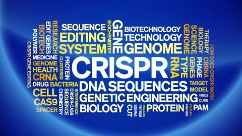 CRISPR animated word cloud,animation text kinetic tag typography seamless loop. Stock Footage 265678277